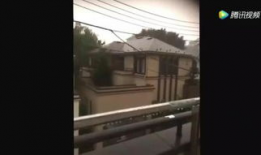 欧美性变态视频,探索隐秘的欲望世界